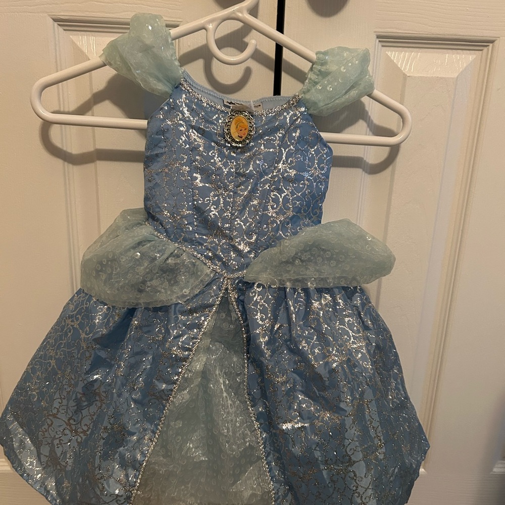Cinderella costume.